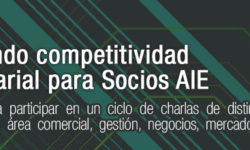 Beneficioso Ciclo de Charlas AIE: “Generando competitividad empresarial para Socios AIE”